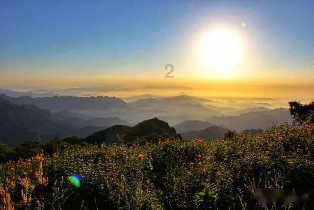 解密为什么会掉发 掉发?,发现更多问题答案!